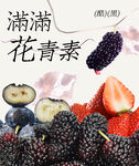 桑葚莓莓杯貼