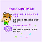 牛初乳乳鐵蛋白大作用