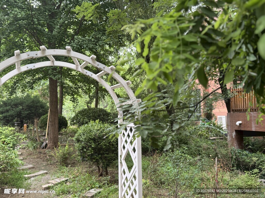 花園中的白色鐵藝拱門