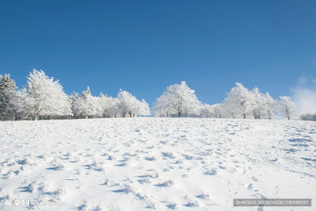 冬日雪景銀白覆蓋的大地