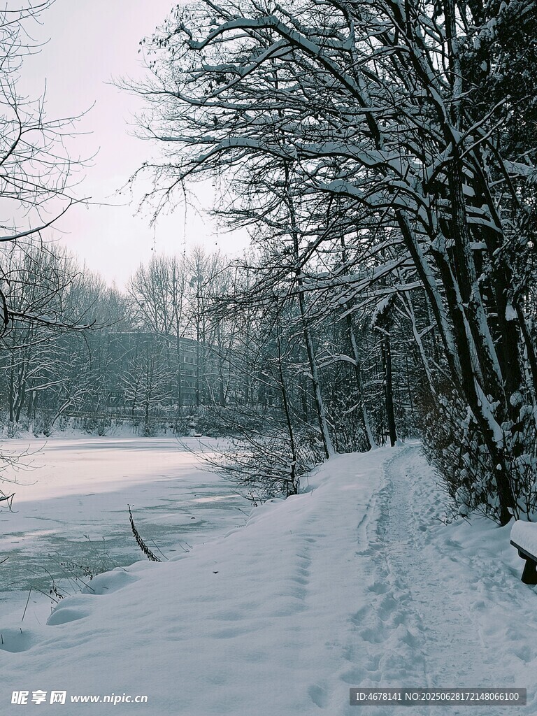 冬日雪景中的靜謐林間小道