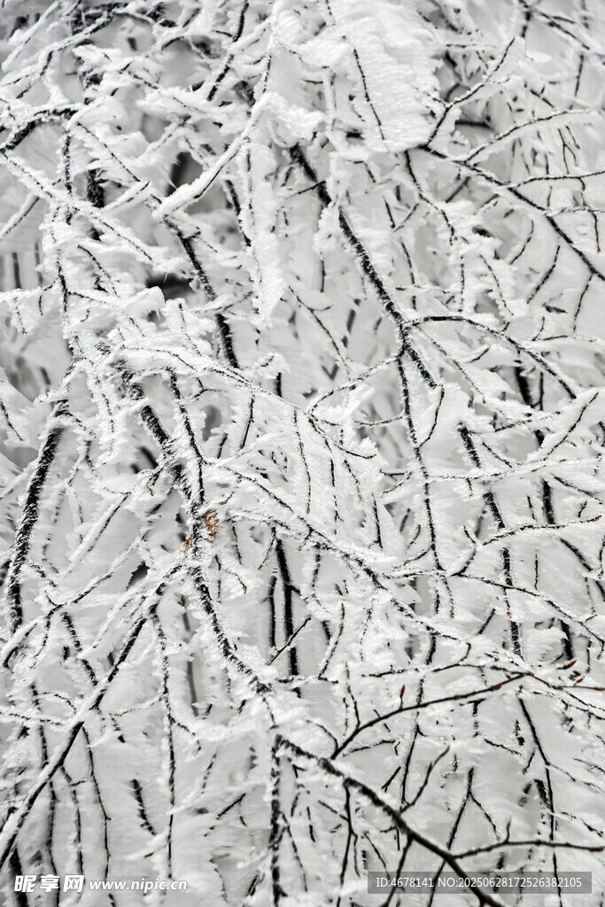 冰雪覆蓋的地面紋理