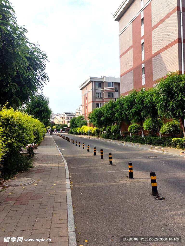 校園道路旁的綠植與路障