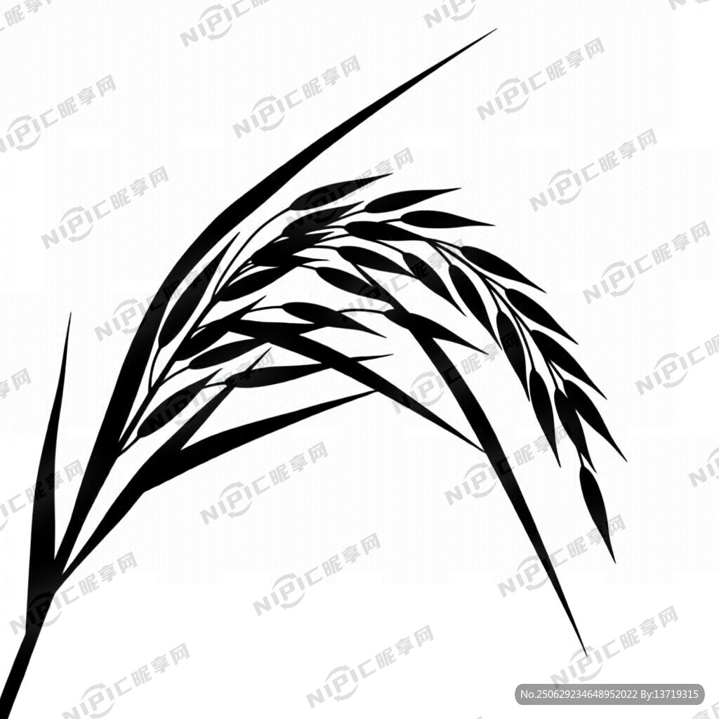 生成一株黑稻穗背景為透明