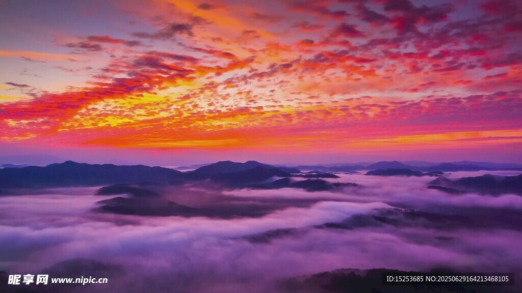 壯麗云海日出美景