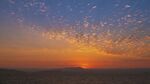 夕陽下飛鳥群舞的壯麗景象