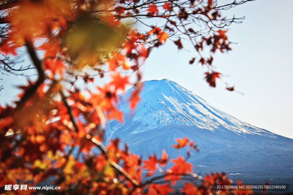 日本富士山照片