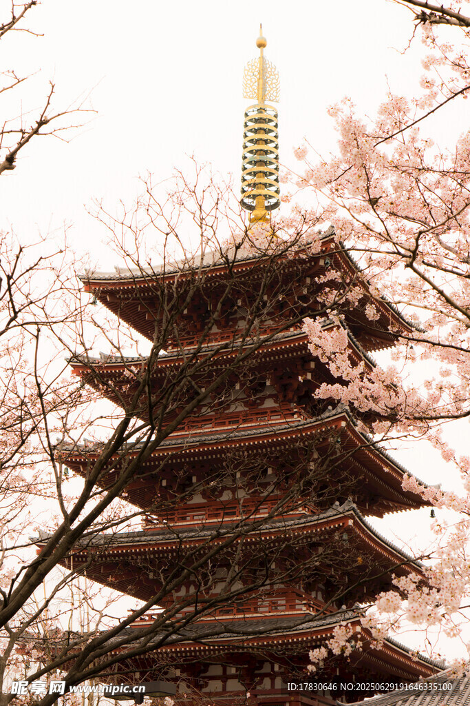 日本旅游照片