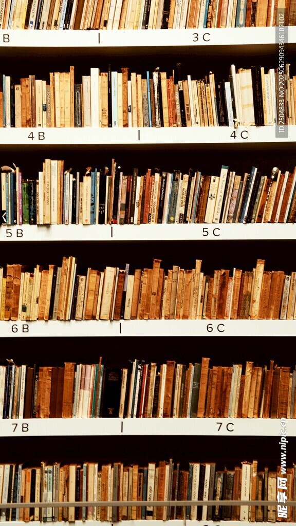 滿架書籍的靜謐知識空間