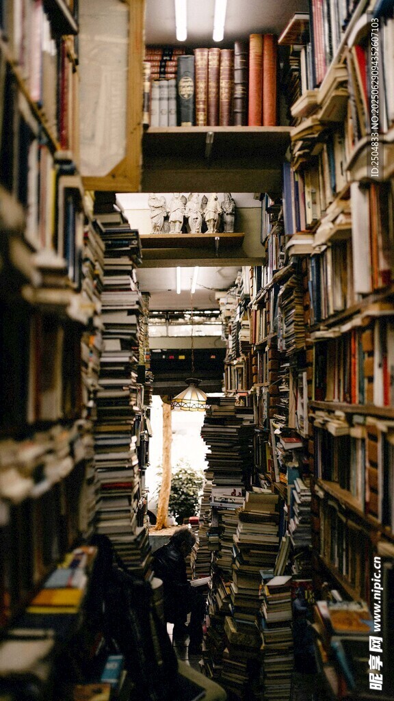 圖書館內(nèi)的靜謐求知場景