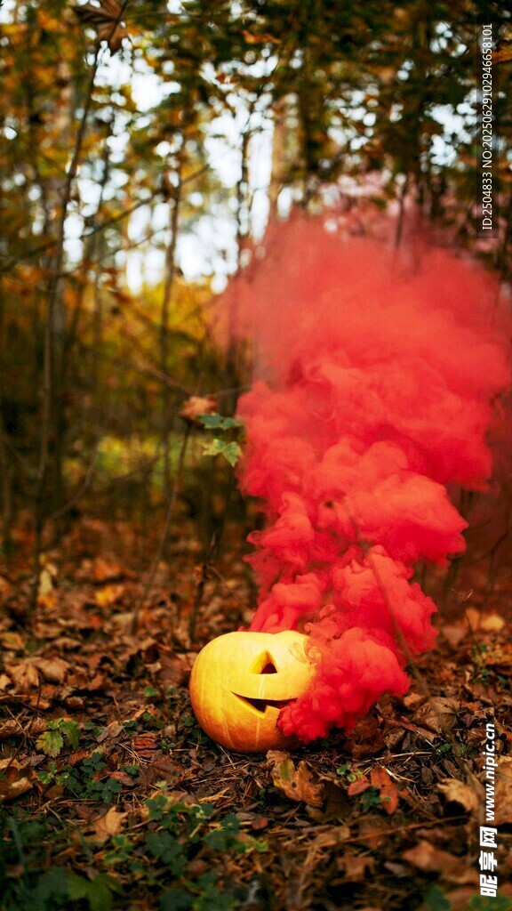 秋日林間的南瓜與紅煙霧