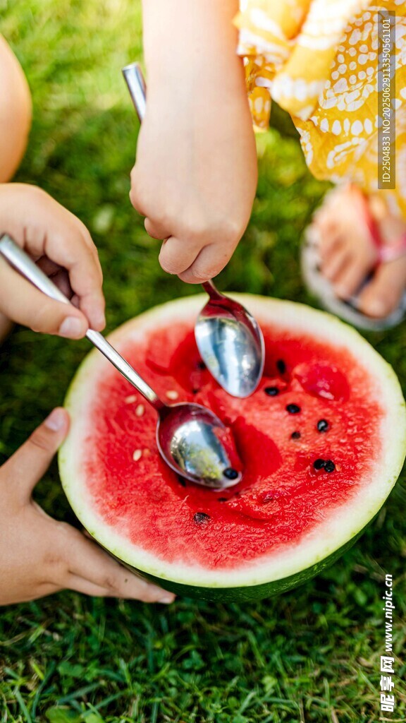 夏日草地享美味西瓜