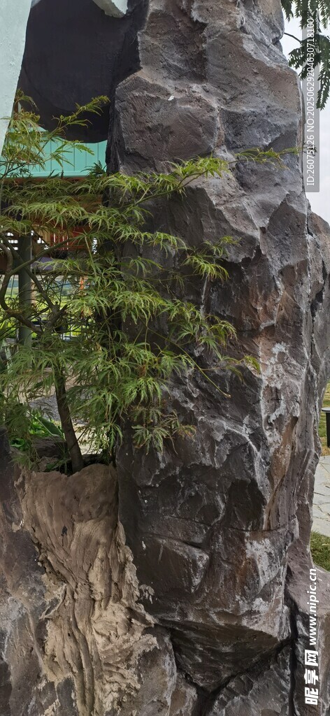陡峭山崖邊的綠植景觀
