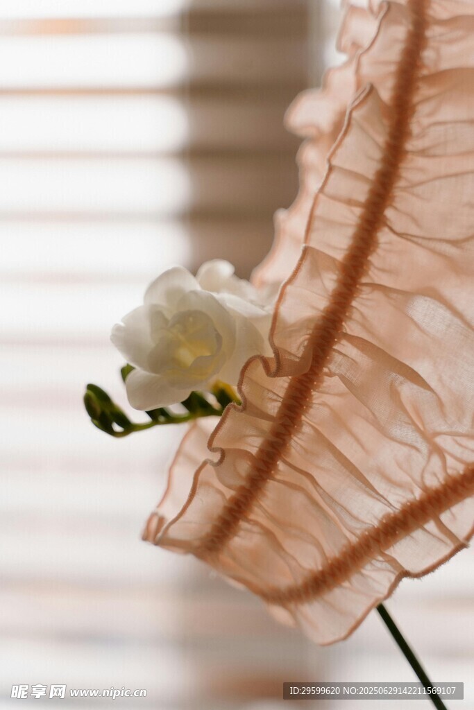窗邊蕾絲布上的白花朵