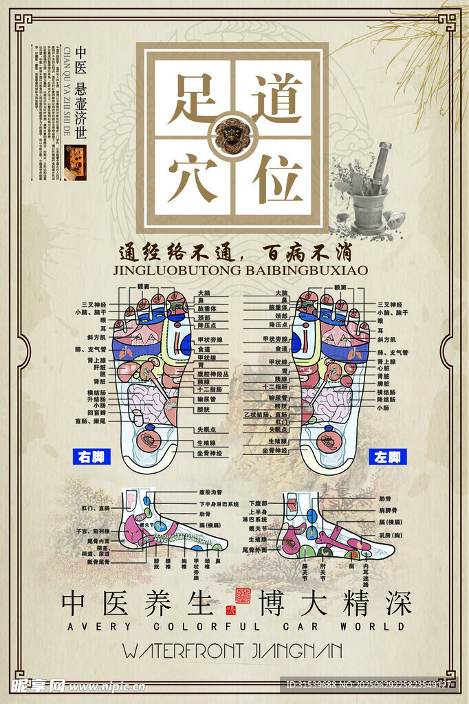 簡(jiǎn)約大氣中醫(yī)足道穴位海報(bào)