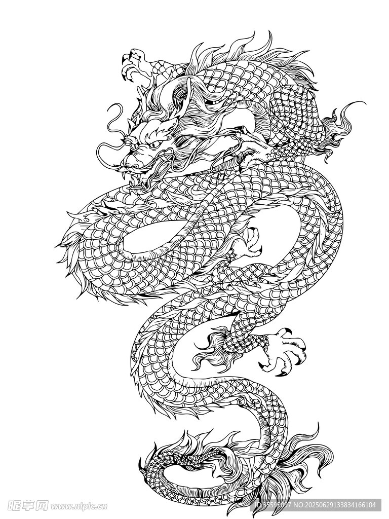 傳統(tǒng)中國龍黑白線條圖案