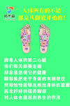 拓步森保健鞋墊