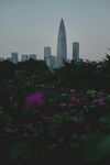 城市天際線與繁花景觀