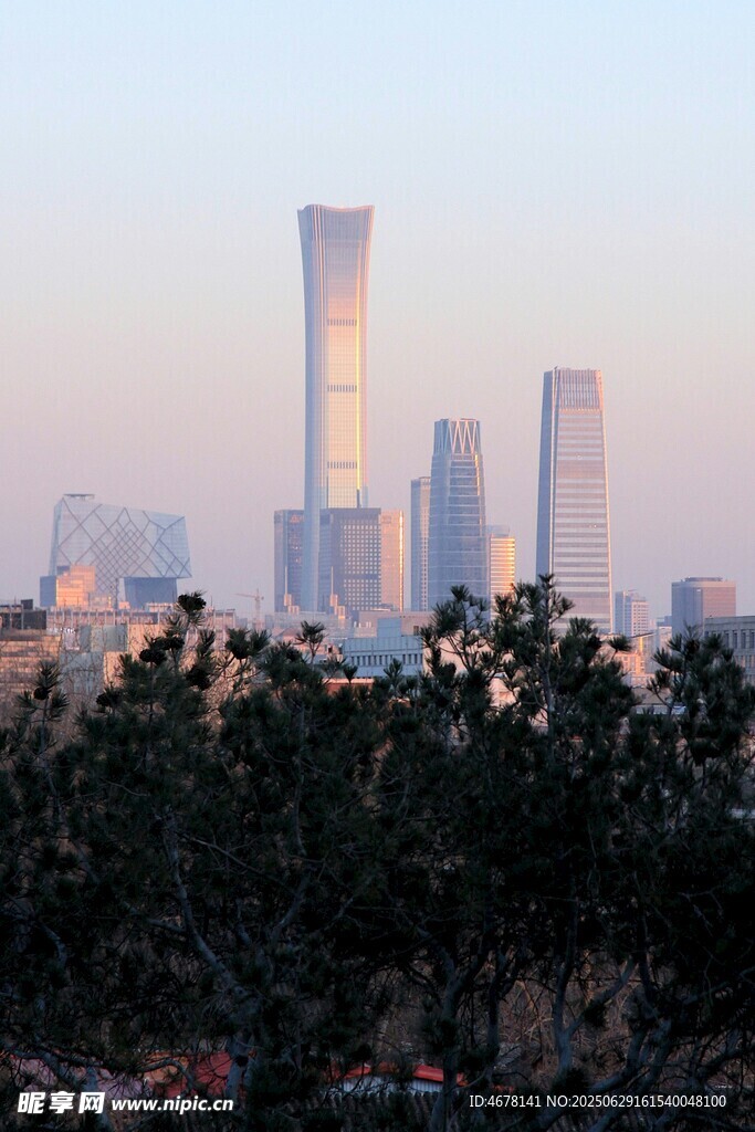 城市天際線與前景綠植