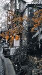 秋日林間小屋的靜謐景致