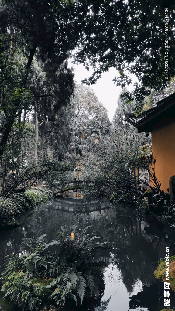 中式園林景觀中的靜謐角落