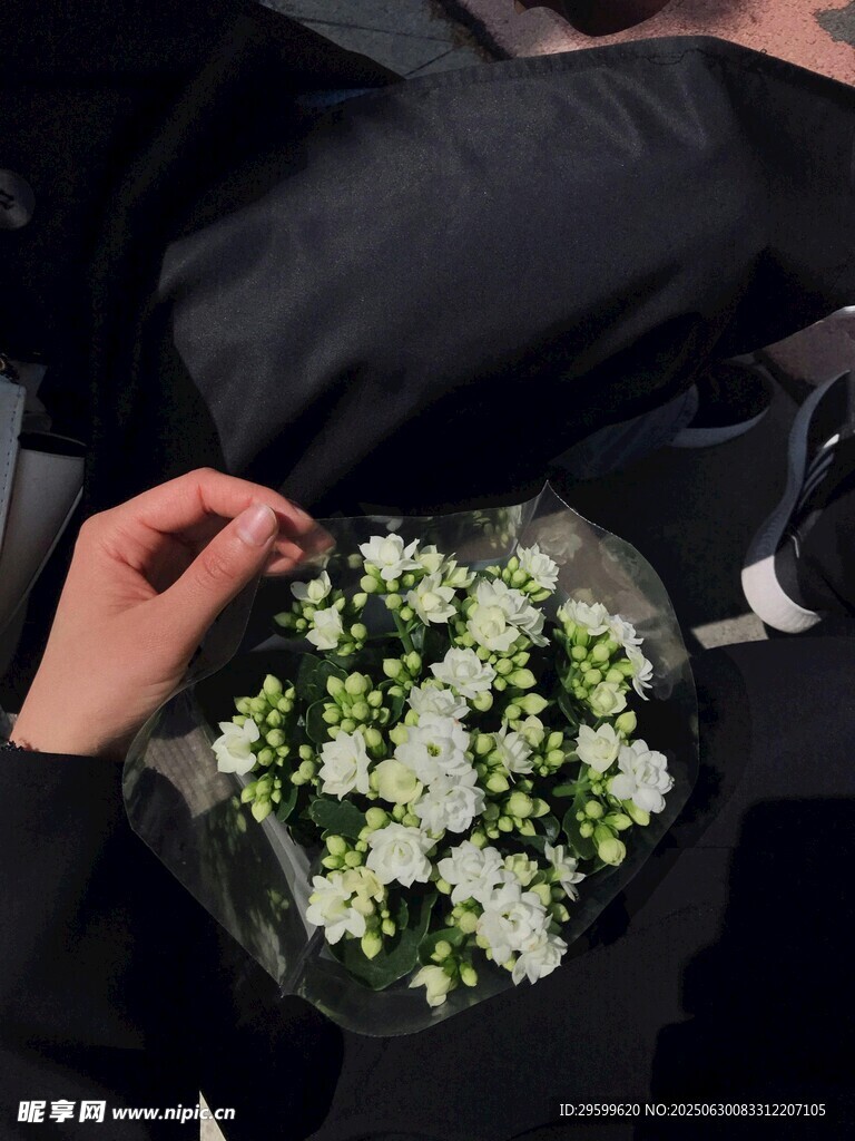 手持清新白花束