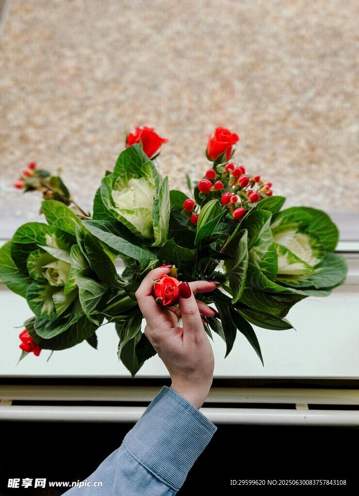 手捧嬌艷綠植與紅花