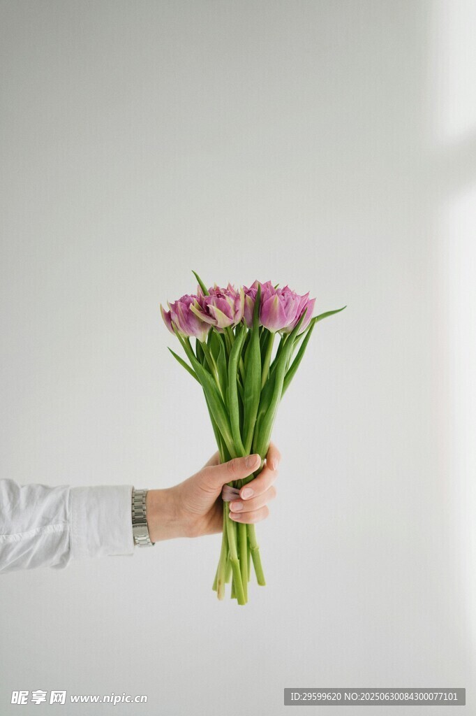 手捧粉色郁金香花束