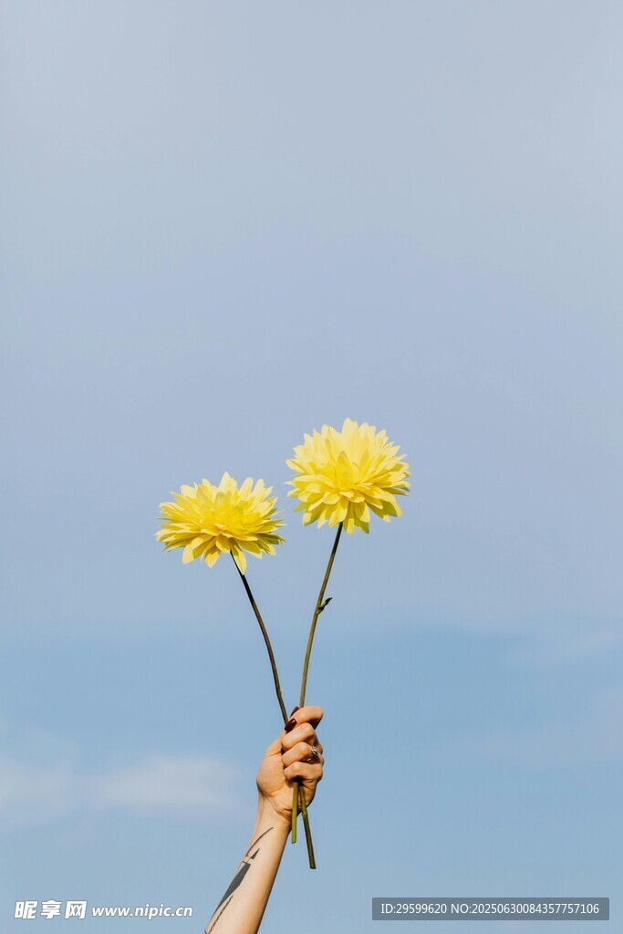 手擎雙花向藍天