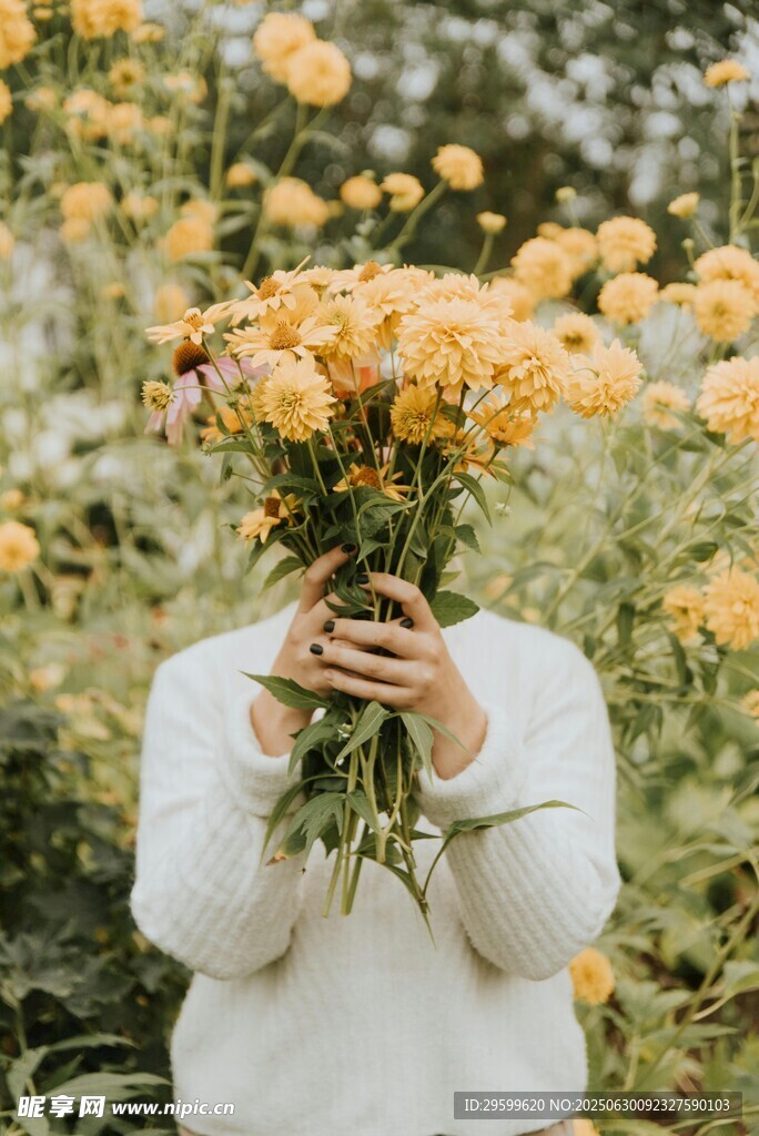 手持黃花的神秘身影