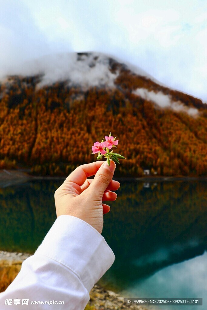 手捧小花賞湖山美景