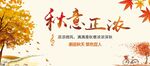 秋意正濃的美麗景致