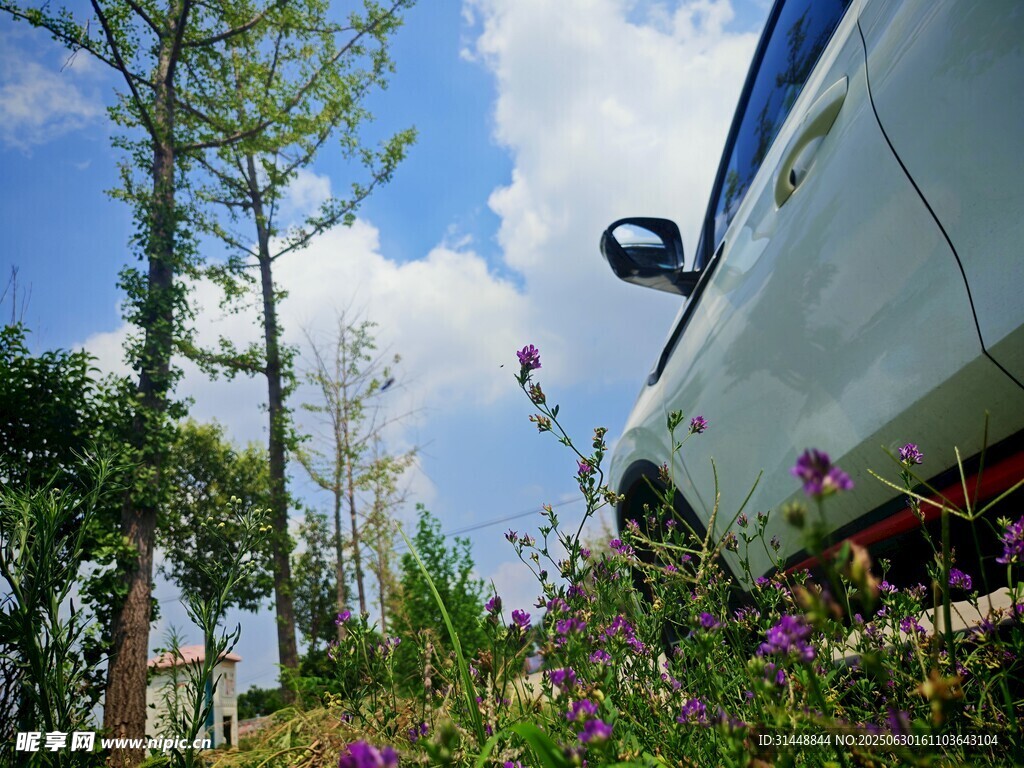 車旁花草藍(lán)天美景