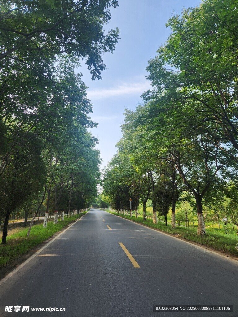 林蔭大道 