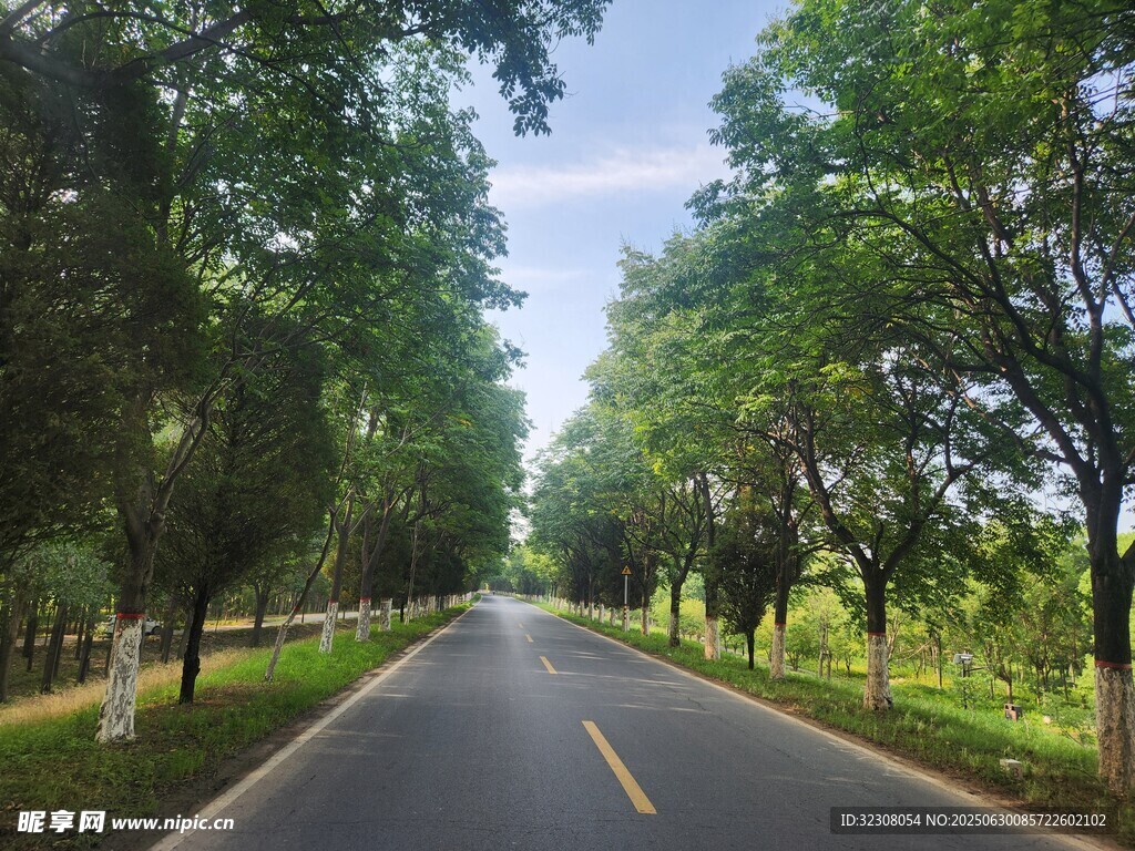 林蔭大道 