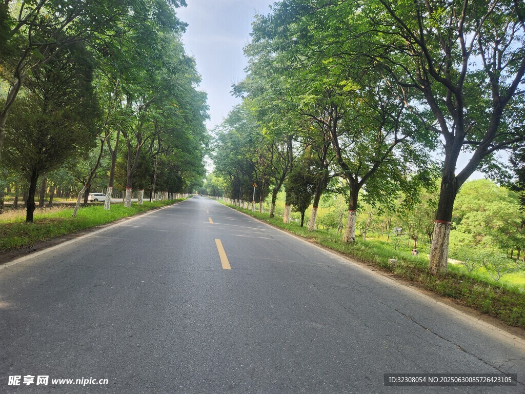 林蔭大道 
