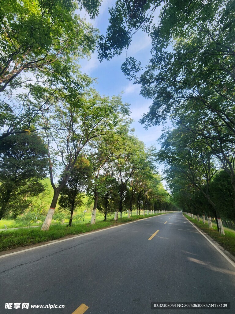 林間公路 