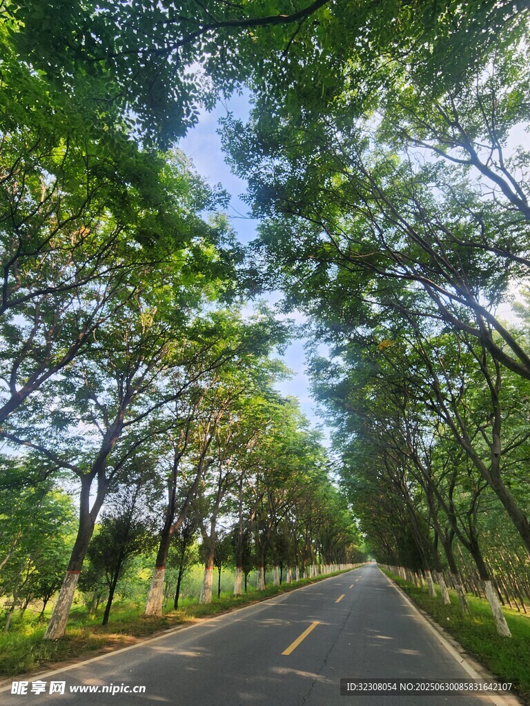 林間公路 