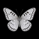 AI生畫