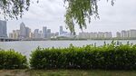 湖畔綠植映襯城市天際線