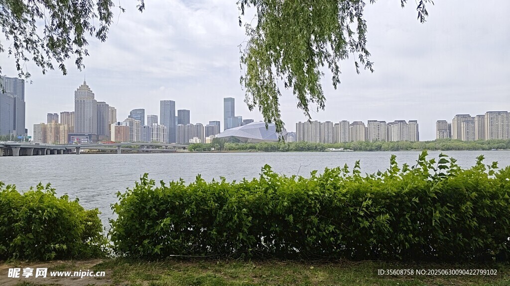 湖畔綠植映襯城市天際線