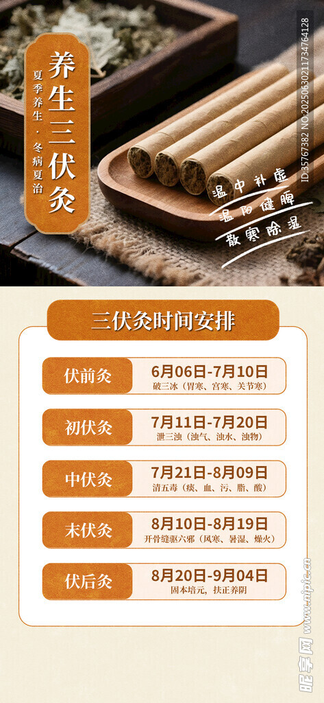 三伏灸