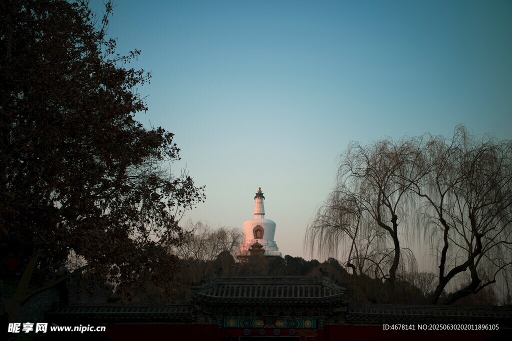 黃昏下的古塔與樹木