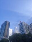 城市高樓與藍(lán)天綠樹景觀
