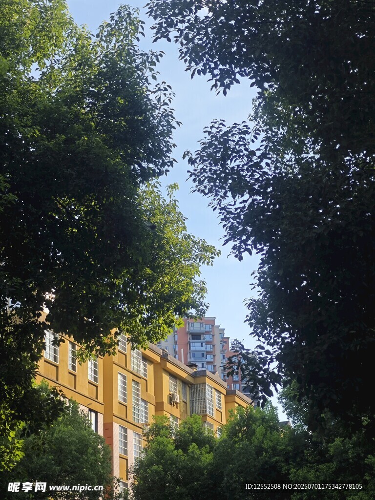 綠樹掩映下的精美建筑