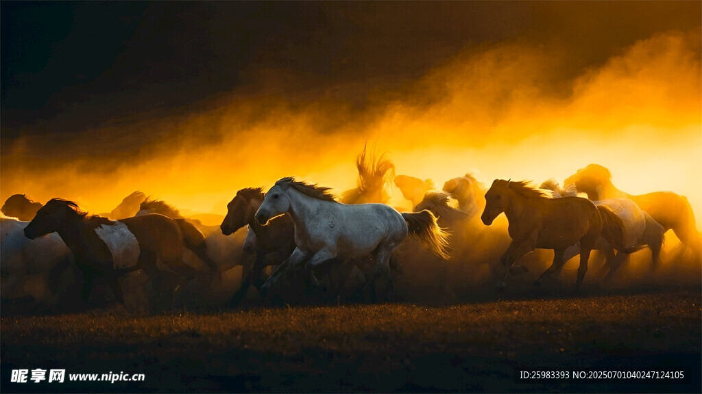 牧馬
