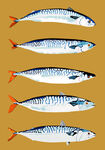 魚