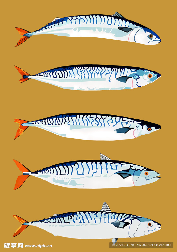 魚(yú)
