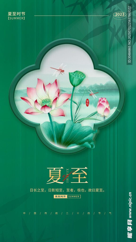 夏至荷花