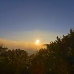 日出時(shí)分的山林美景